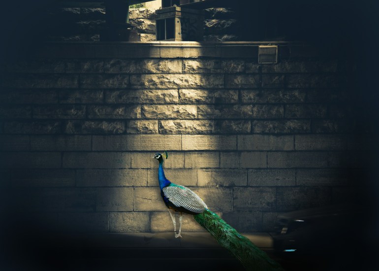 relationship with graphic design