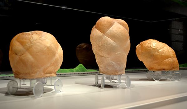 87850a1996a9321aac49ff81f52edfbd